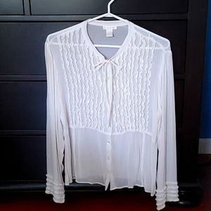 Sheer 100 % Rayon Blouse